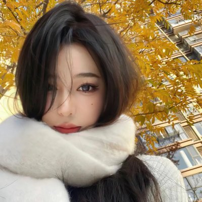 内战圣伯纳犬