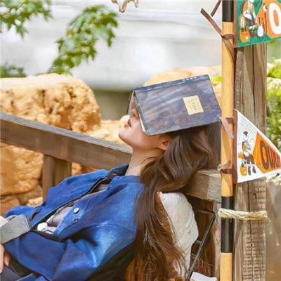 剧场版 银河机攻队:觉醒的基因